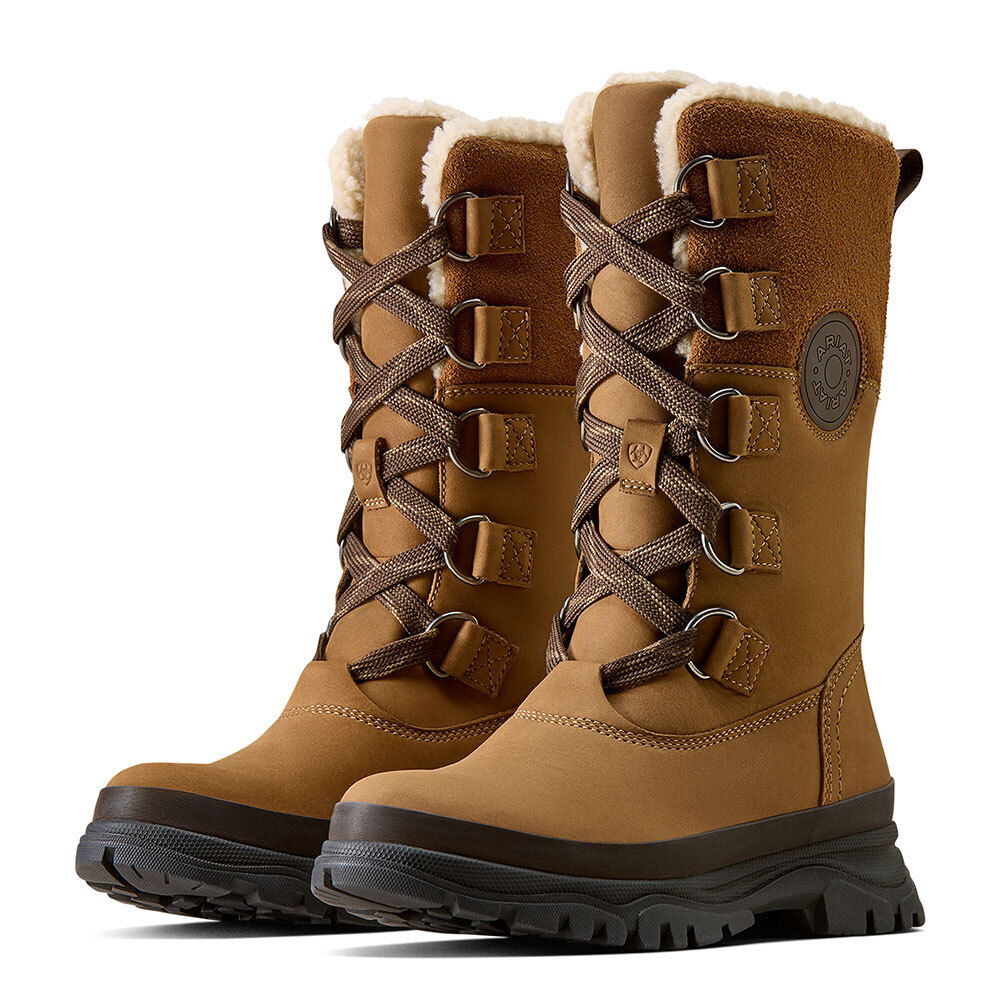 Ariat Dameslaarzen WMS Wetherby Waterproof Insulated Boot, bruin, Maat: 36
