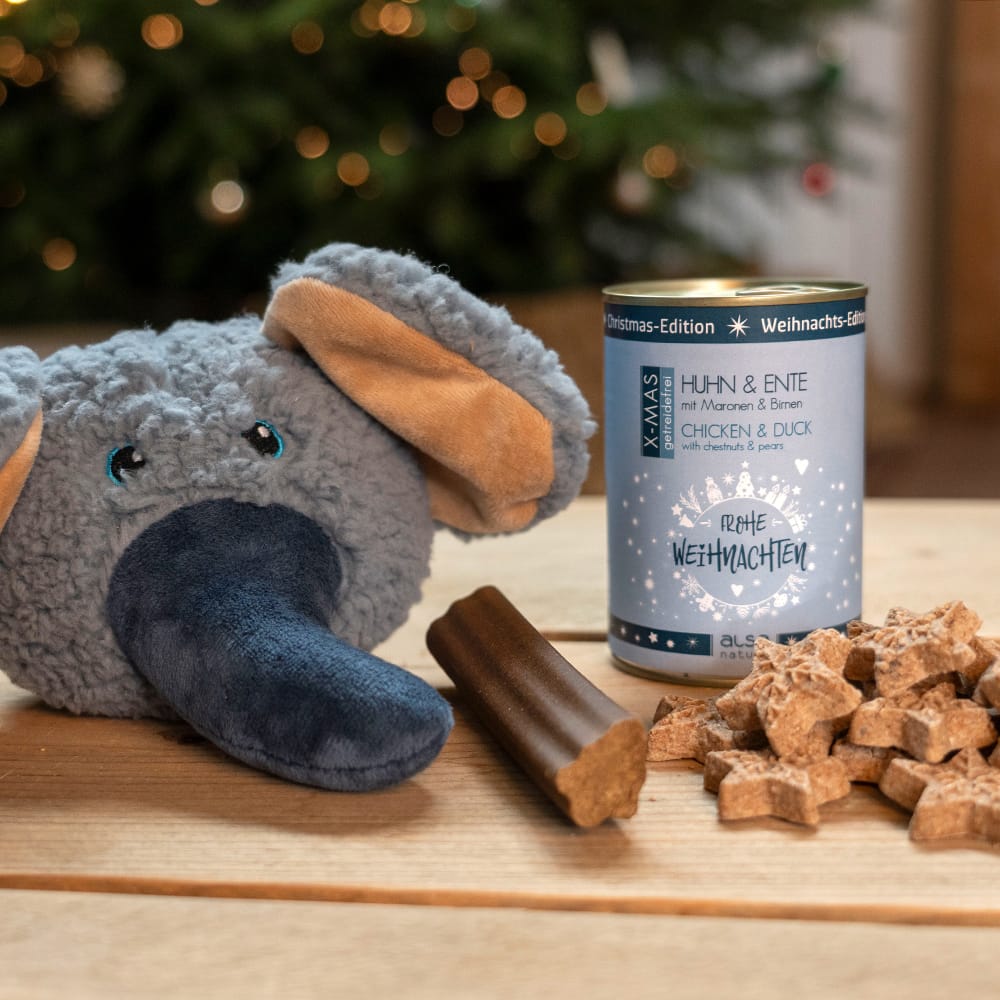 Alsa-nature Kerst-verrassingszak