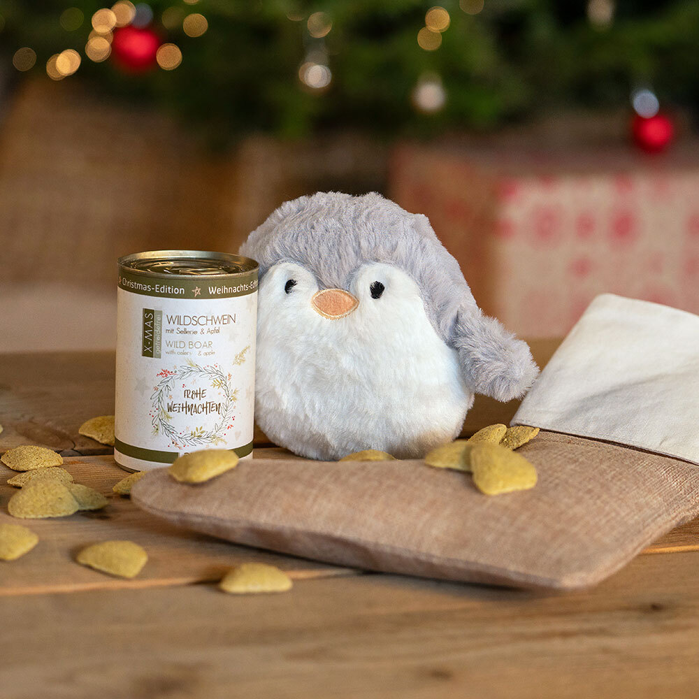 alsa-nature Kerstsok