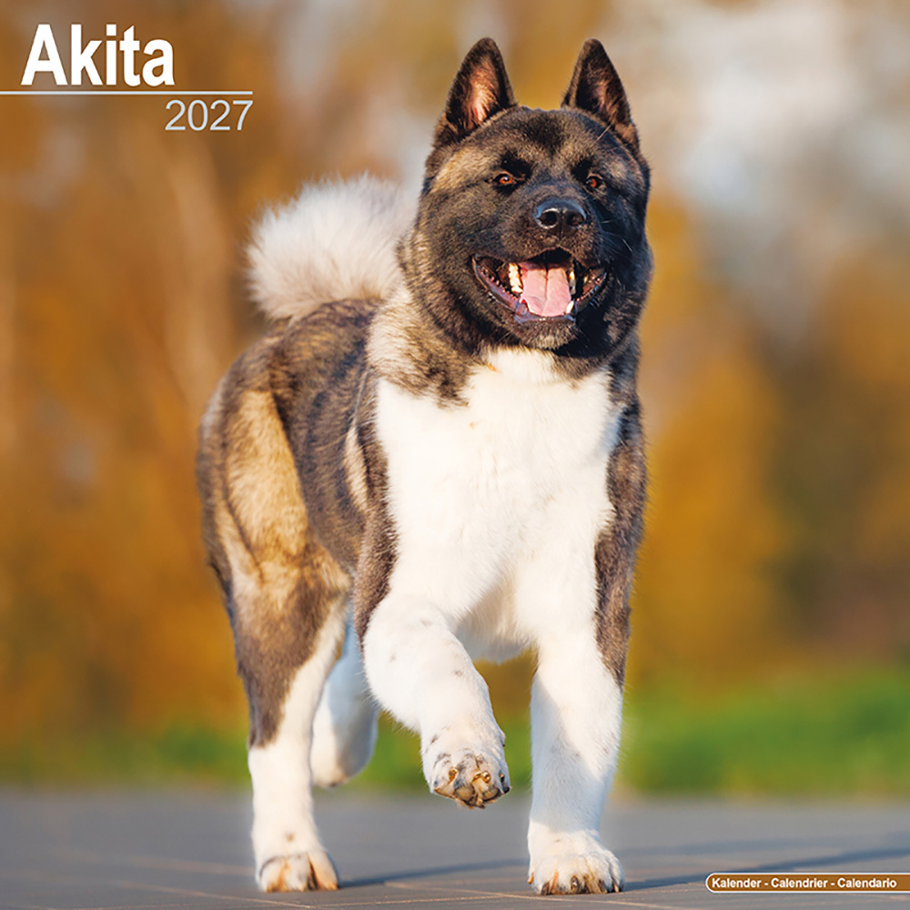 Kalender 2027 Akita