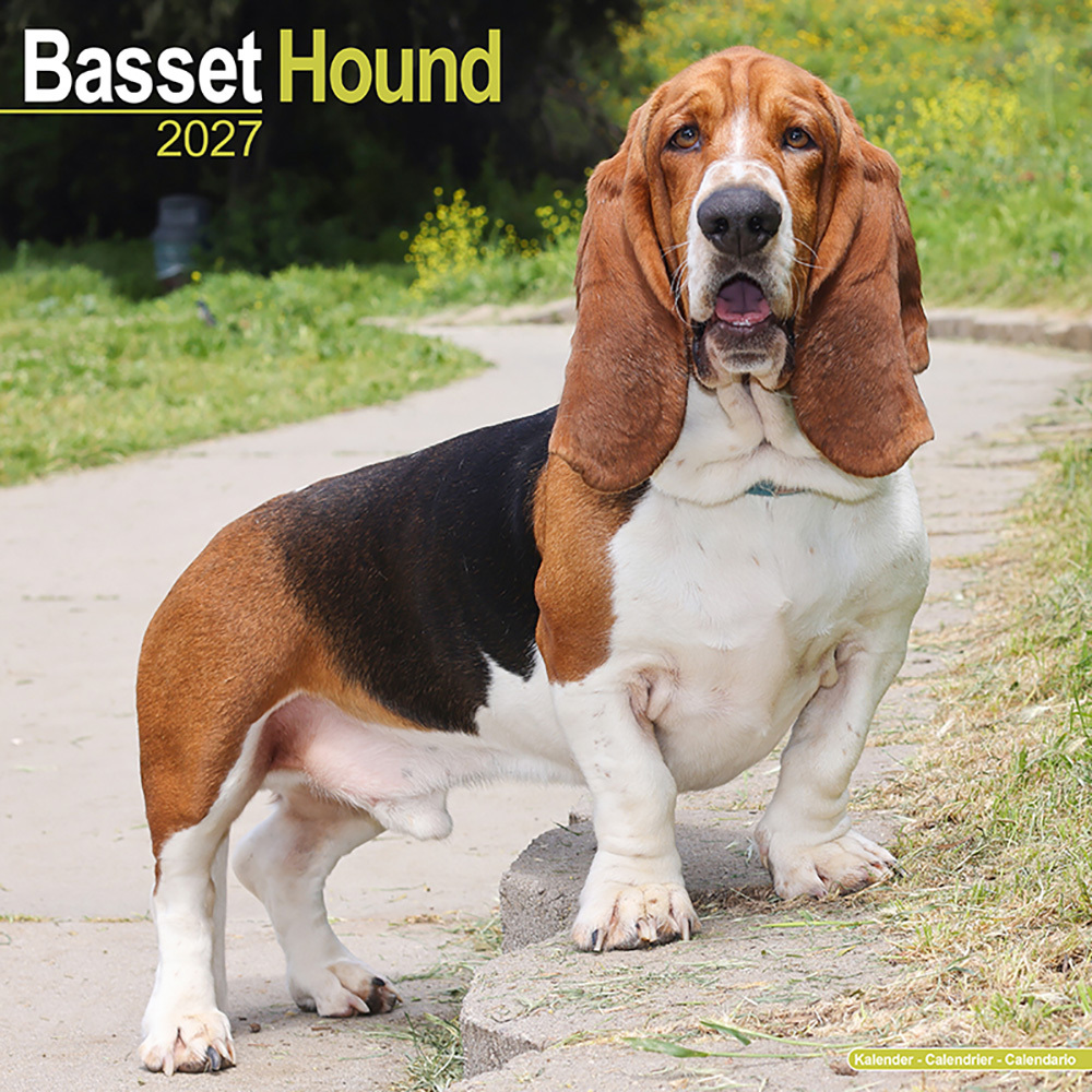 Kalender 2027 Basset
