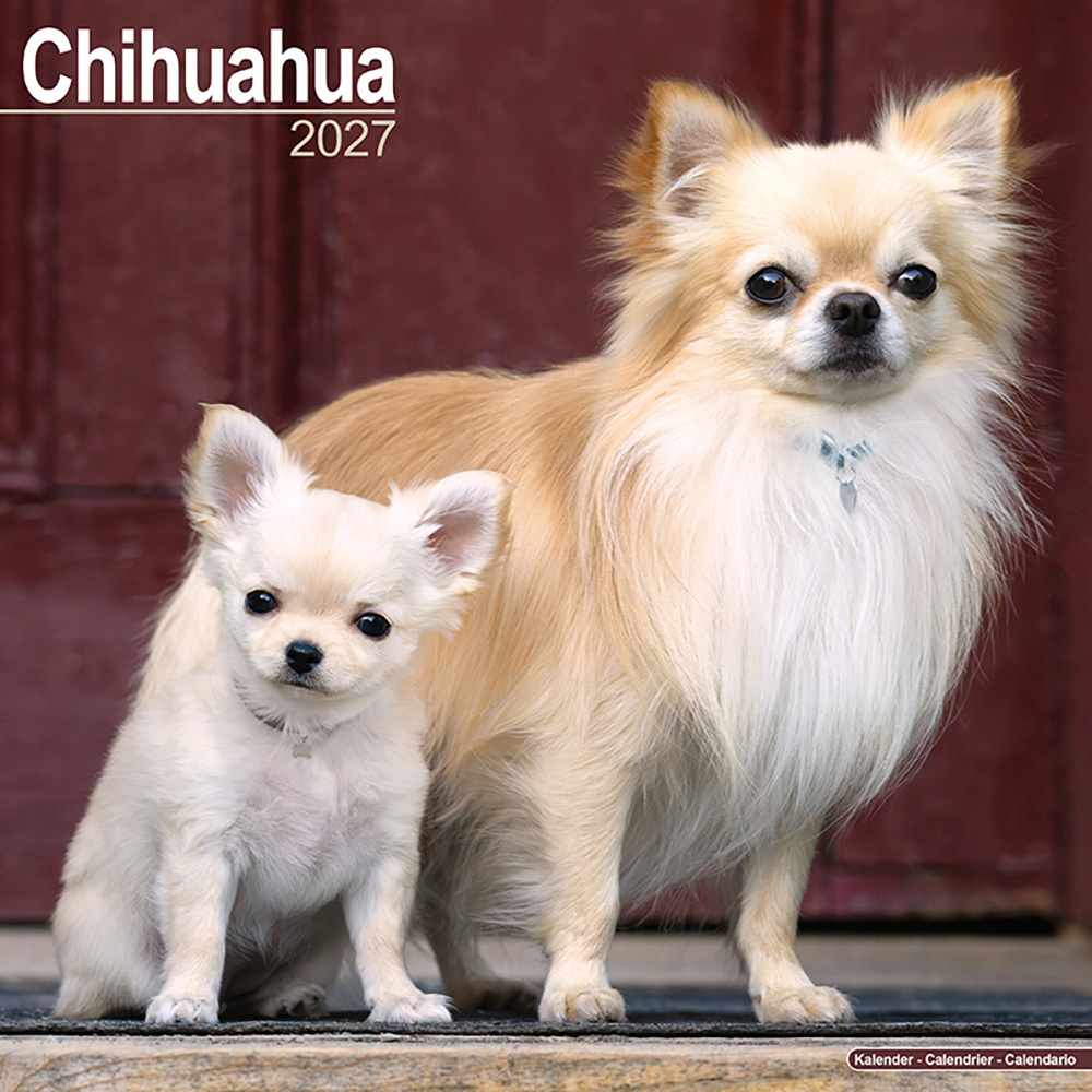 Kalender 2027 Chihuahua