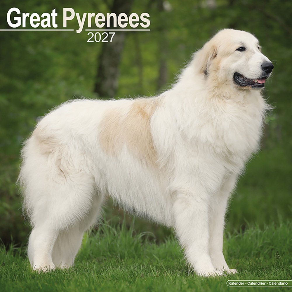 Kalender 2027 Pyreneese berghond