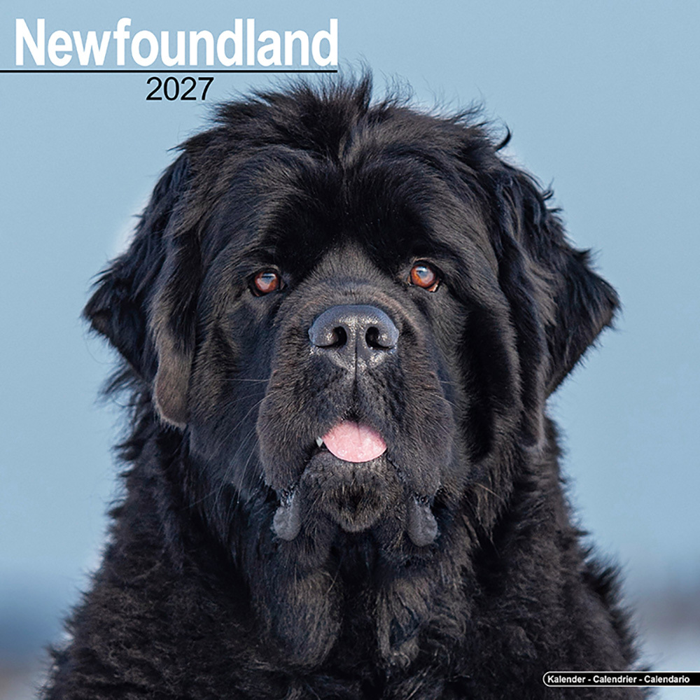 Kalender 2027 Newfoundlander