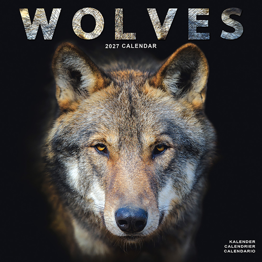 Kalender 2027 Wolf