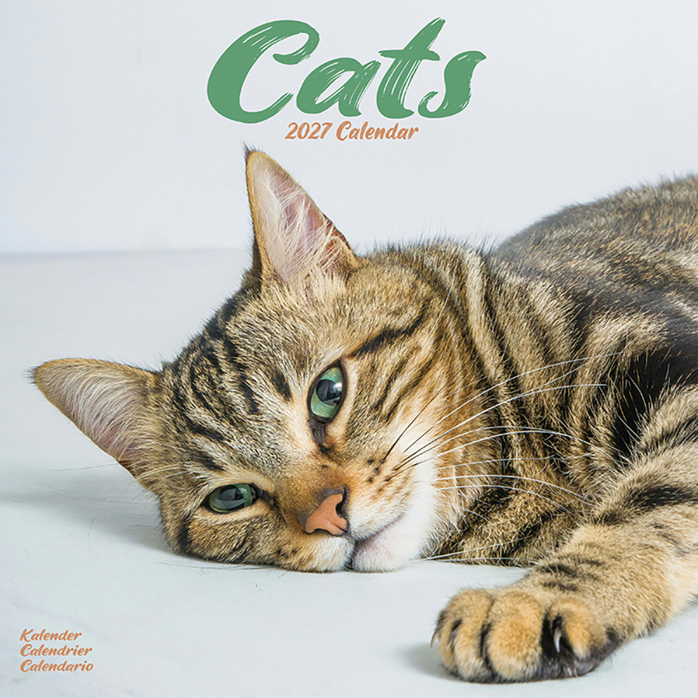 Kalender 2027 Katten