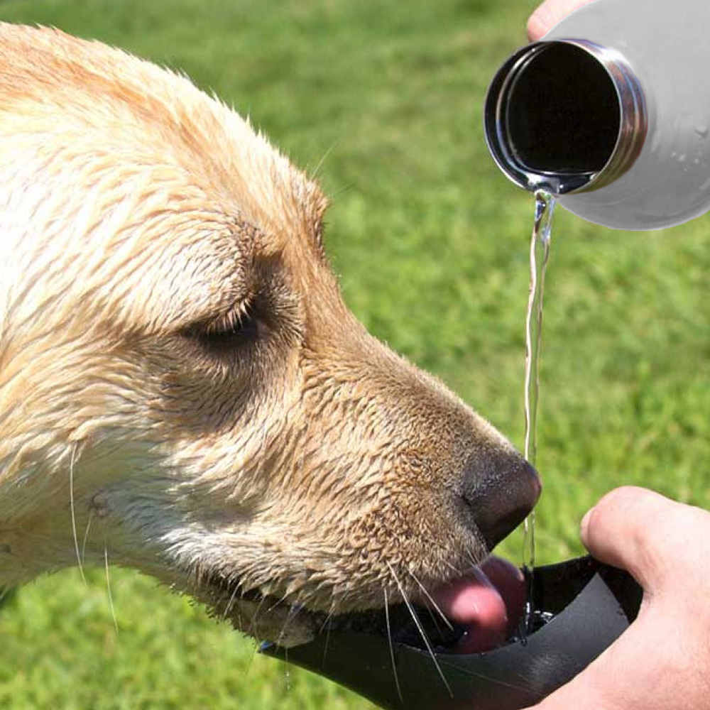 WasserTrinkflasche alsahundewelt