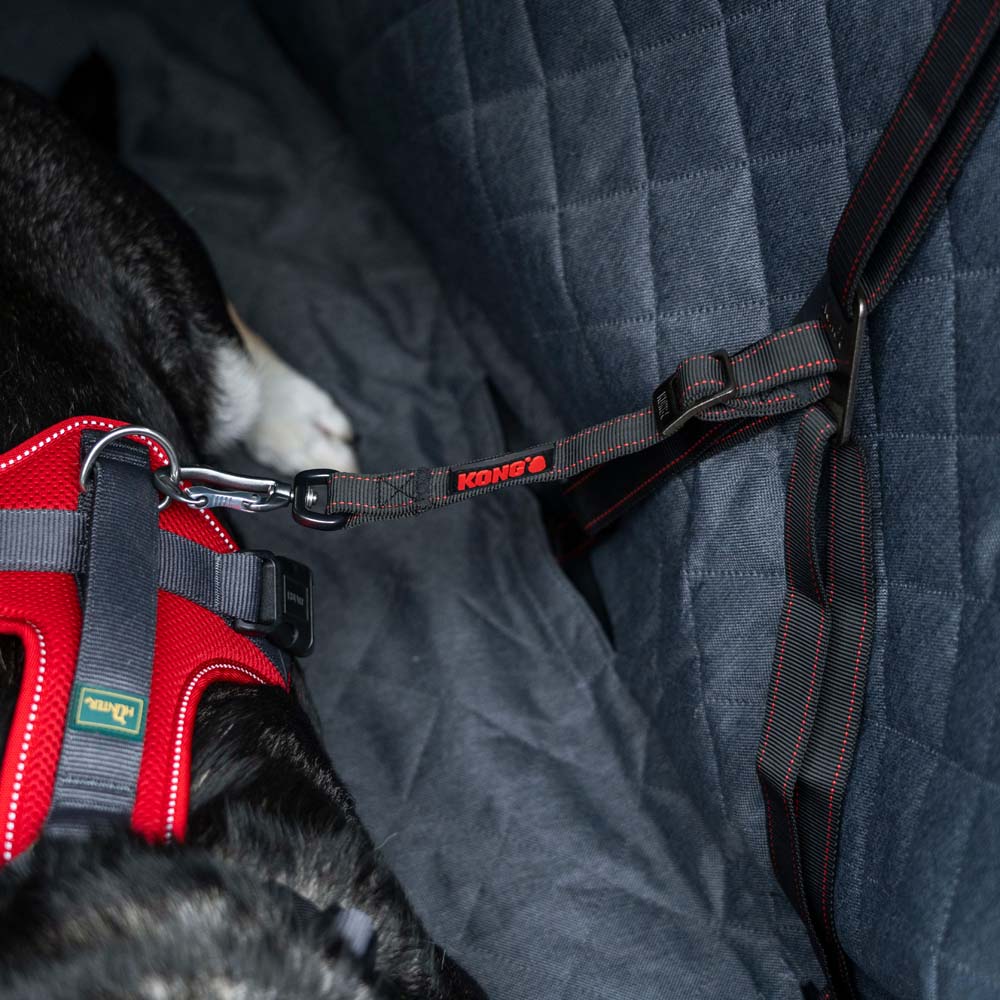 KONG Autoveiligheidsgordel Ultimate Safety Tether, zwart