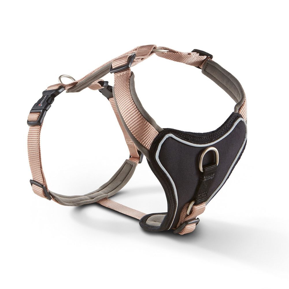WOLTERS Hundegeschirr Professional Comfort champagner/trüffel, Breite: ca. 25 mm, Bauchumfang: ca. 40 - 45 cm