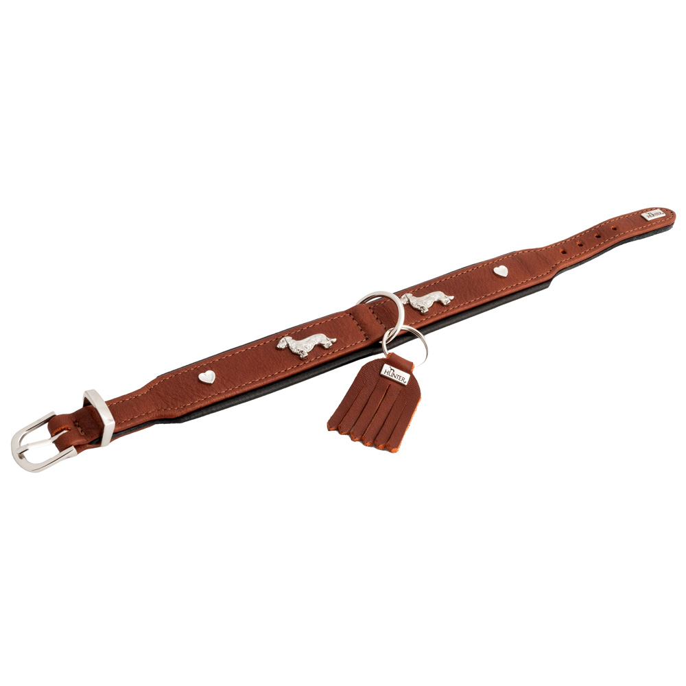 HUNTER Hondenhalsband München, bruin, Maat: 37