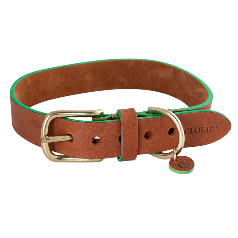 Cloud7 Hondenhalsband Kings Park, cognac/green