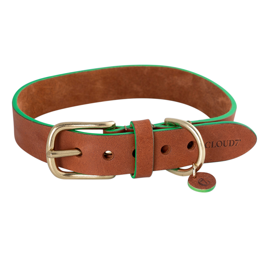 Cloud7 Hondenhalsband Prince Park, cognac/green