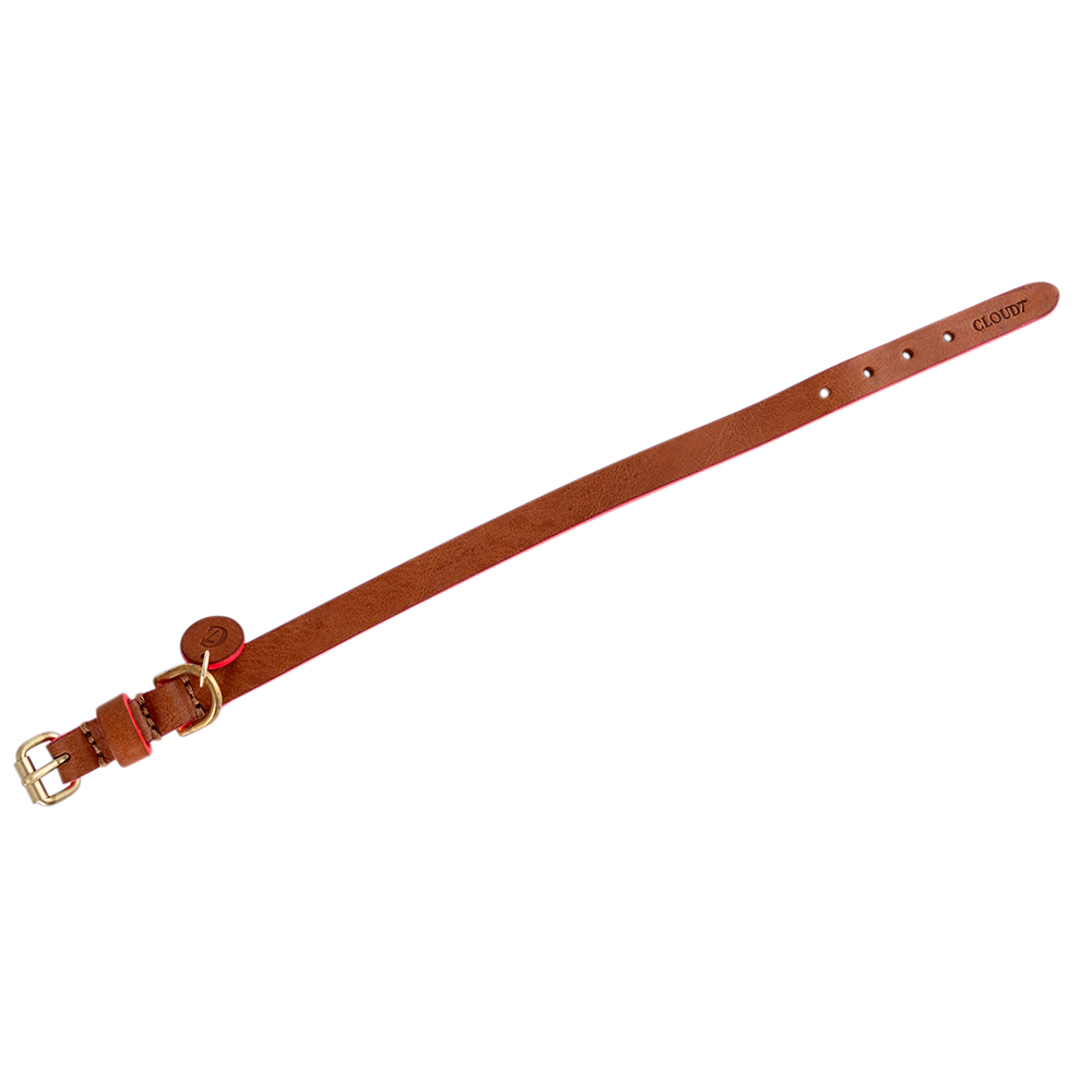 Cloud7 Hondenhalsband Prince Park, cognac/pink