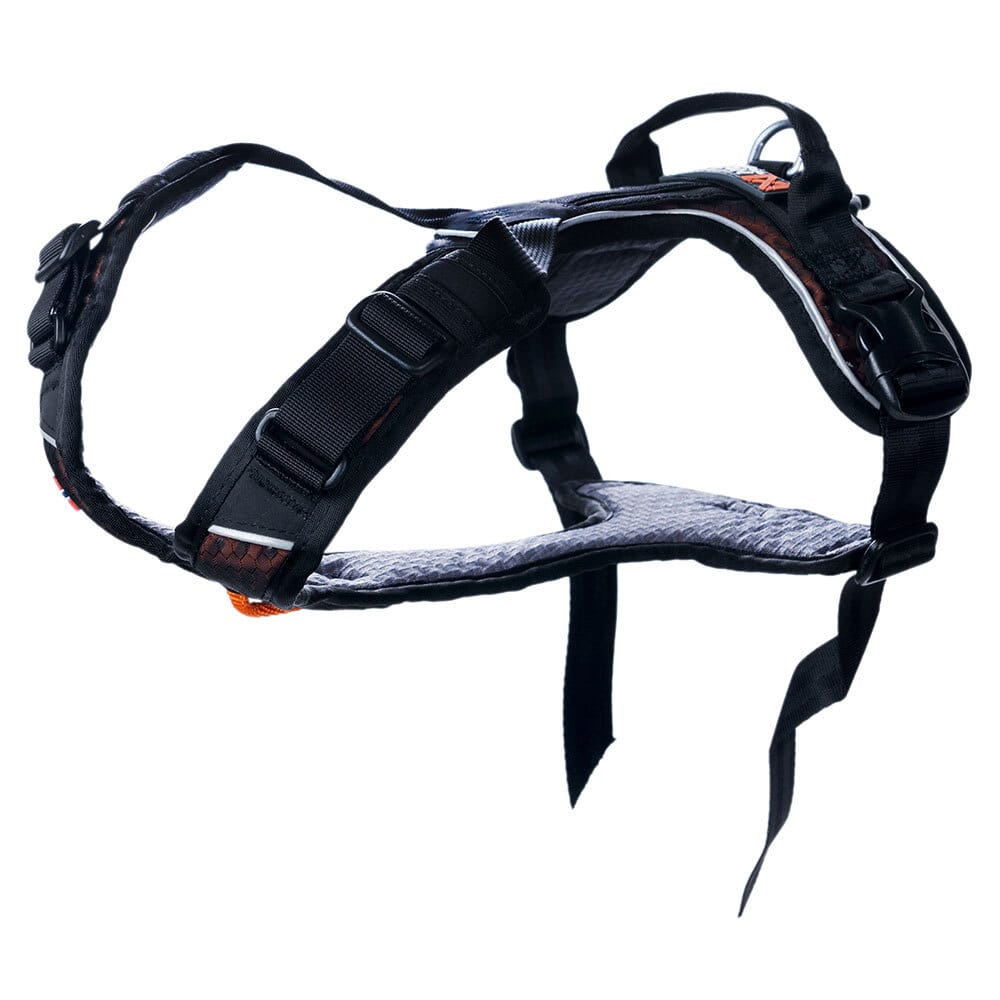 Non-stop dogwear Hundegeschirr Rock Harness black/orange, Gr. XL, Brustumfang: ca. 71 - 108 cm, Halsumfang: ca. 60 - 84 cm