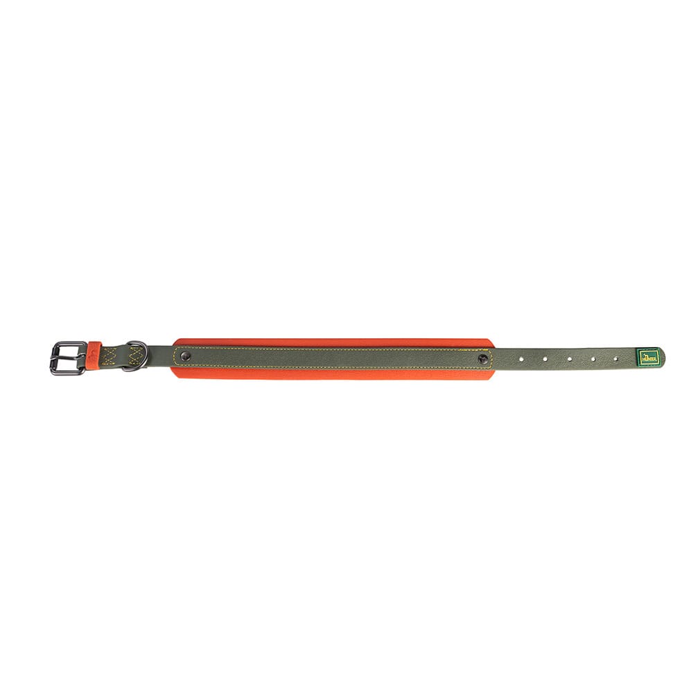 HUNTER Hunde-Halsband Havanna grün/orange, Gr. 55, Breite: ca. 3,5 cm, Länge: ca. 42 - 50 cm