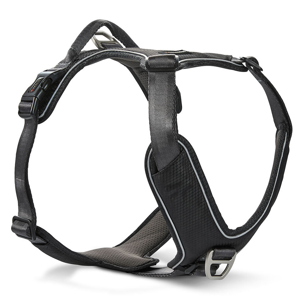 WOLTERS Hondentuig Active Pro Comfort, zwart