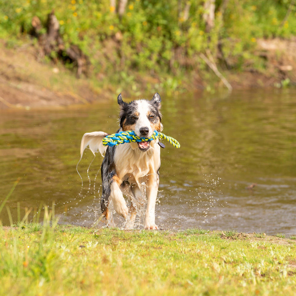 Honden waterspeeltje Tug Rope, blauw-geel, Maat: L