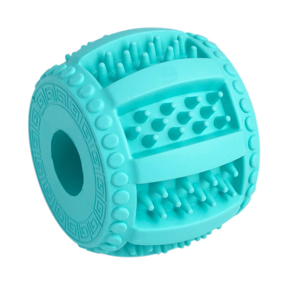 Honden-kauwspeelgoed Dental Line, turquoise