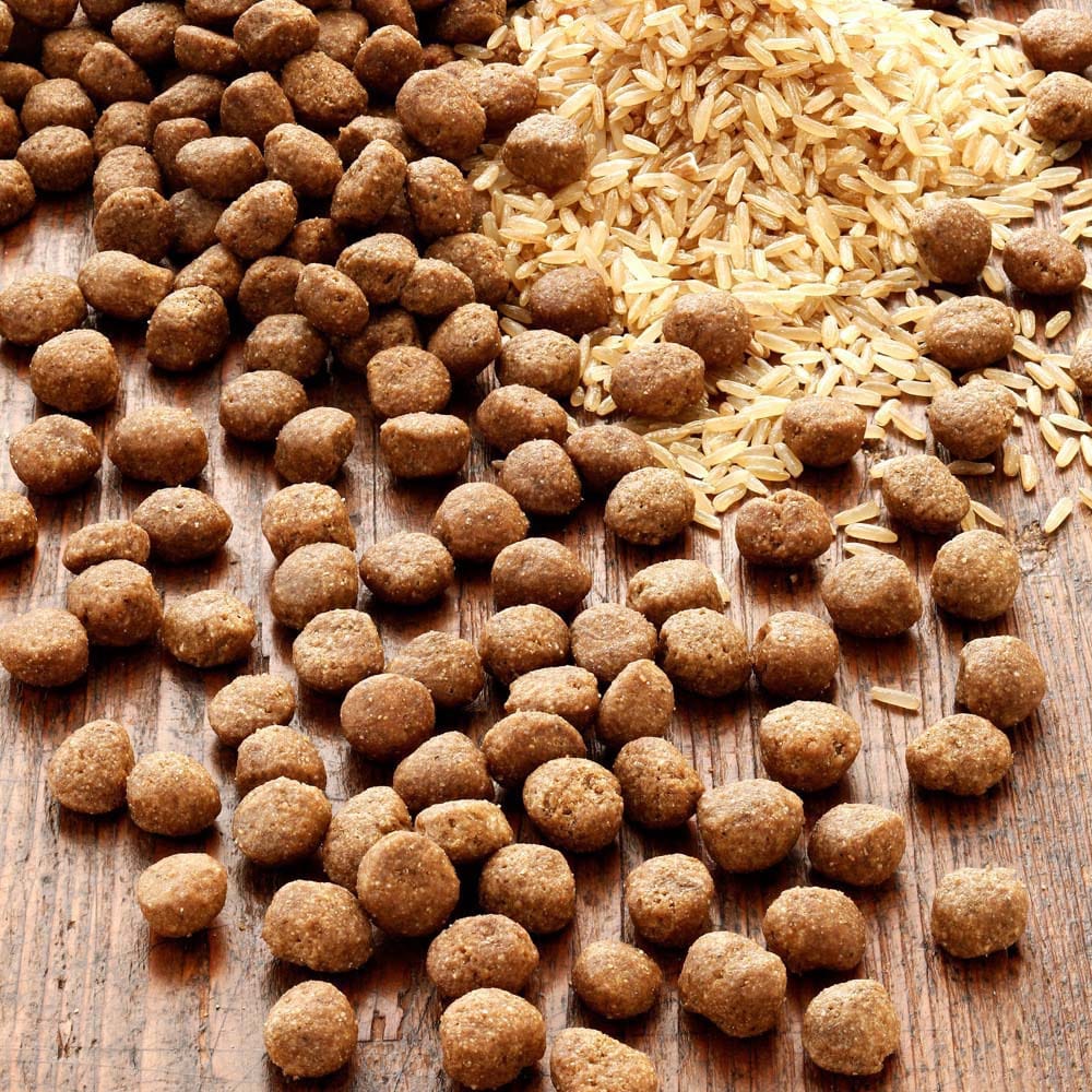 alsa-nature INSECTUM Rijst, 1,5 kg — afbeelding 1
