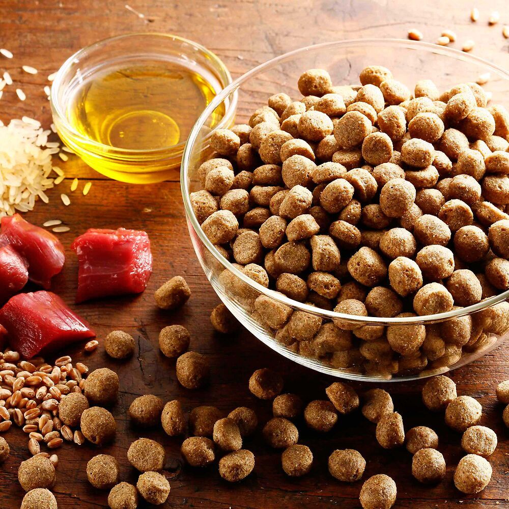 alsa-nature Nieren-Schonkost Trockenfutter, 6 kg, Hundefutter trocken