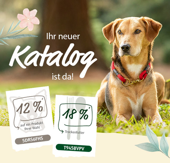 Ihr neuer Katalog ist da!