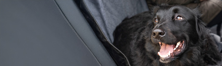 Kofferbakbescherming voor honden