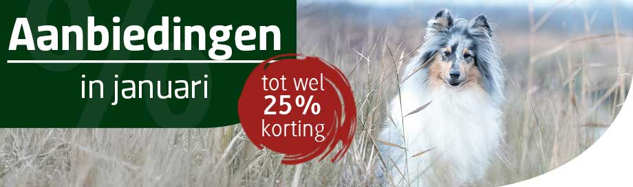 Nieuwjaars aanbiedingen