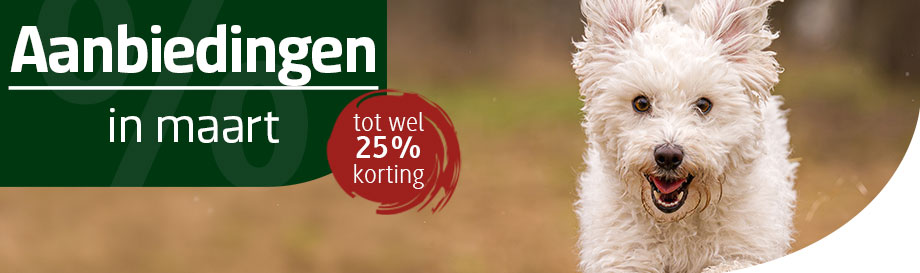 Aanbiedingen in maart