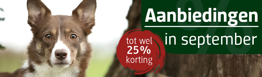 Aanbiedingen in september