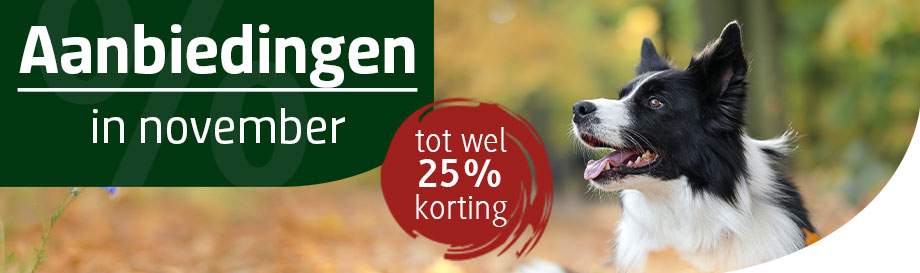 Aanbiedingen in november