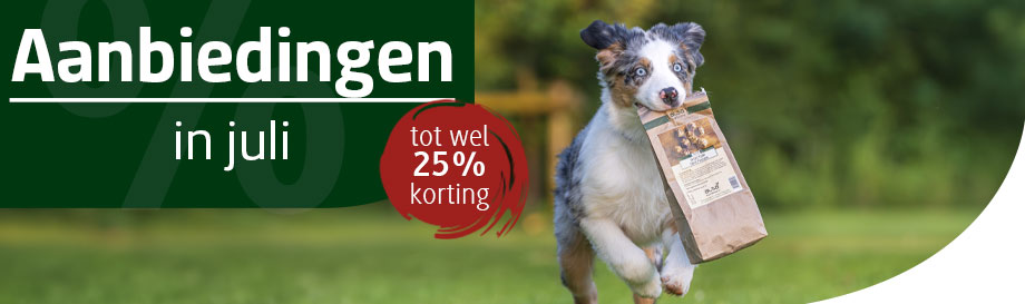 Aanbiedingen in juli