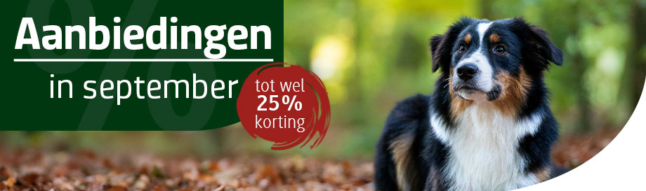 Aanbiedingen in september