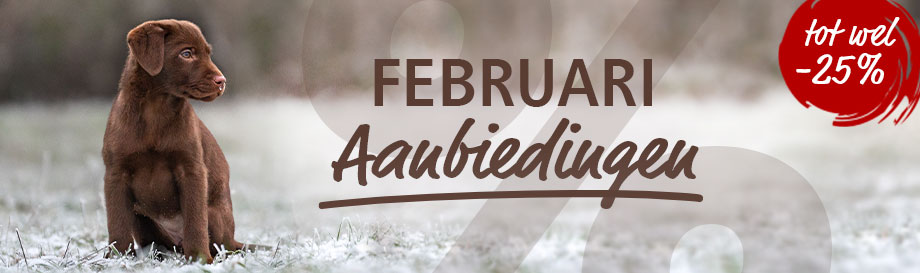 Aanbiedingen in februari