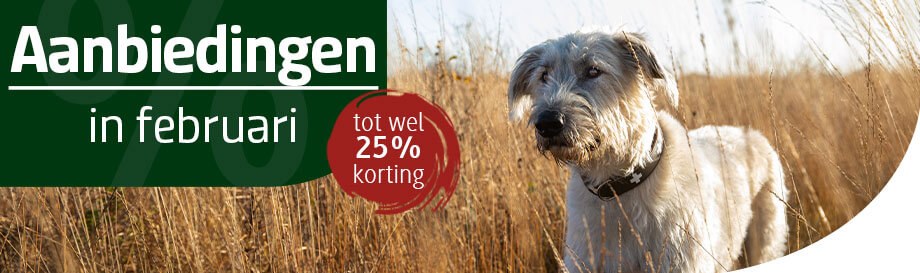 Aanbiedingen in februari