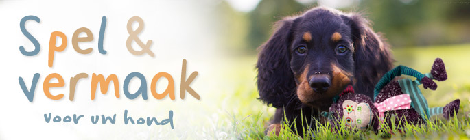 Hier vindt u robuust en veilig hondenspeelgoed en slimme intelligentie spellen voor honden. Spel & vermaak voor uw hond