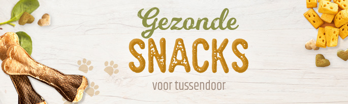 Ontdek onze natuurlijke hondensnacks: Hondenkoekjes en kauwartikelen van afwisselende ingrediënten. Gezonde snacks voor tussendoor