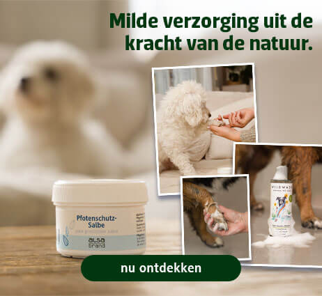 Natuurlijke verzorgingsproducten voor uw hond