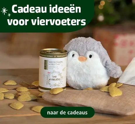 Verrassing kerst-sok voor honden