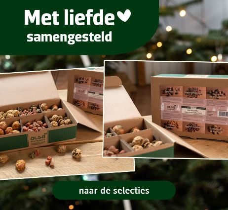 Liefdevol samengestelde kerstkoekjes voor honden