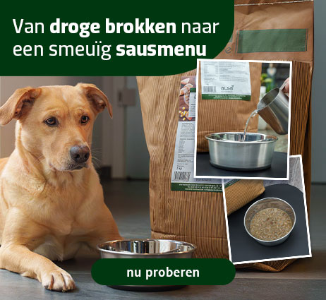 Gezonde hondenbrokken met een cremige saus