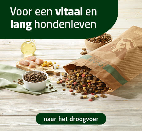 Natuurlijke hondenbrokken van alsa-nature