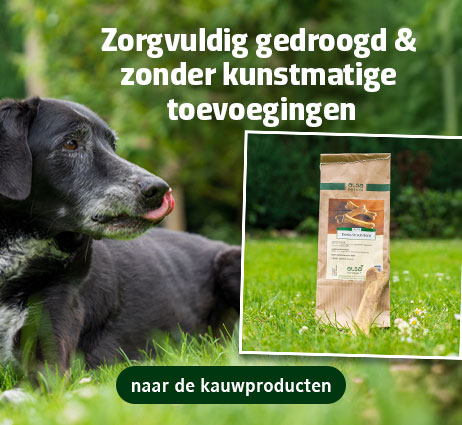 Lekkere en zorgvuldig gedroogde kauwartikelen voor honden