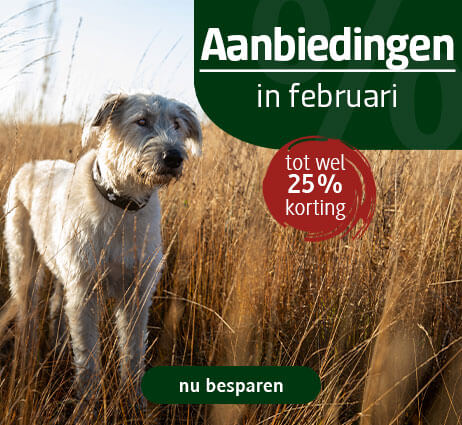 Hondenvoer in de aanbieding