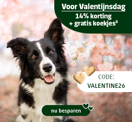 14% korting & gratis koekjes