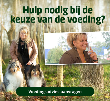 alsa-nature voedingsadvies voor honden