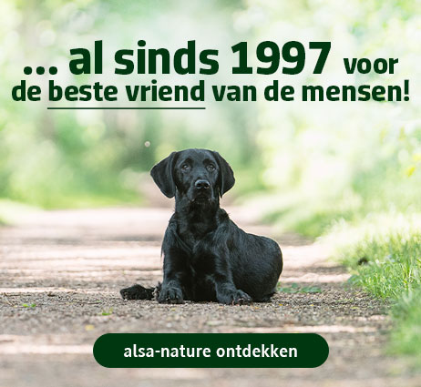Uitgebalanceerd hondenvoer voor honden van ons eigen merk alsa-nature