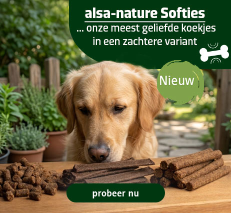 Onze meest geliefde koekjes in een zachtere variant