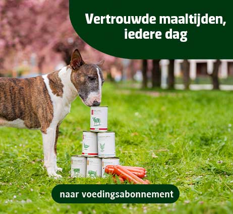 Betrouwbare maaltijden, elke dag