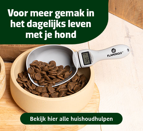 Voor meer gemak in het dagelijkse leven met een hond