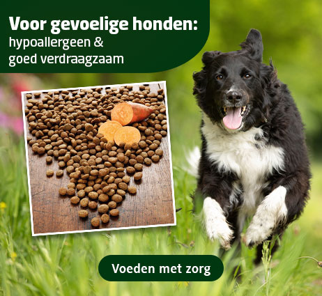 Voor gevoelige honden, hypoallergeen en licht verteerbaar